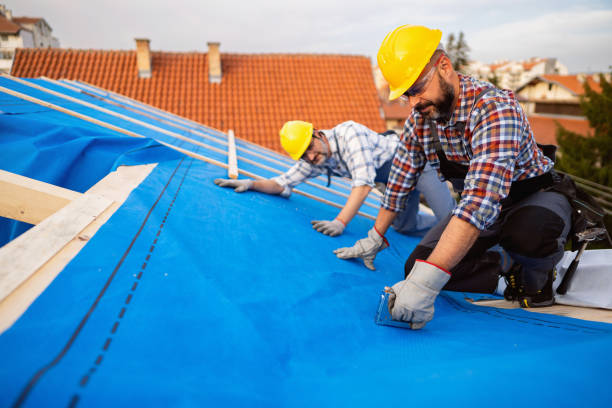 Best Roof Gutter Cleaning  in Watsessing, NJ