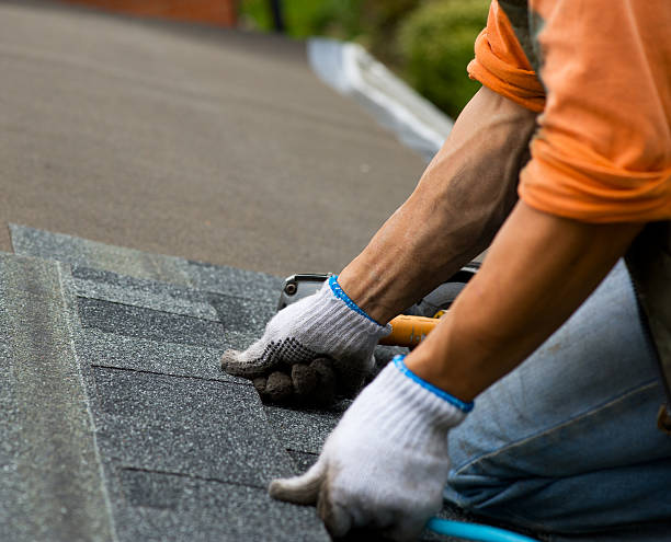 Best Metal Roofing Contractor  in Watsessing, NJ
