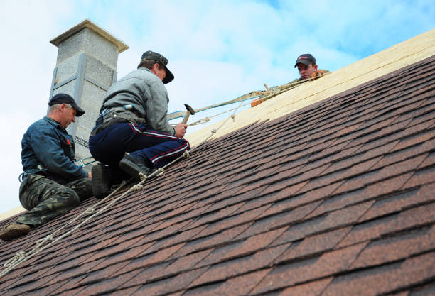 Gutter Installation and Roofing in Watsessing, NJ